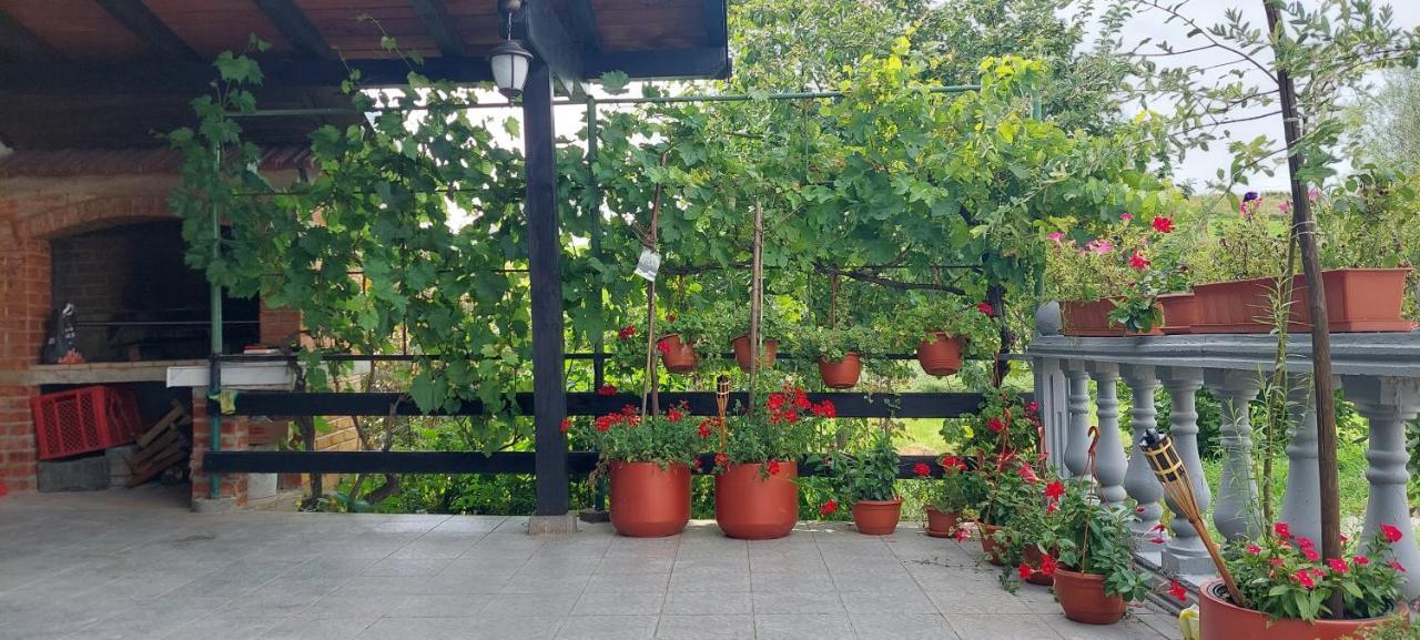 Kod Ane Apartment Belavici Luaran gambar