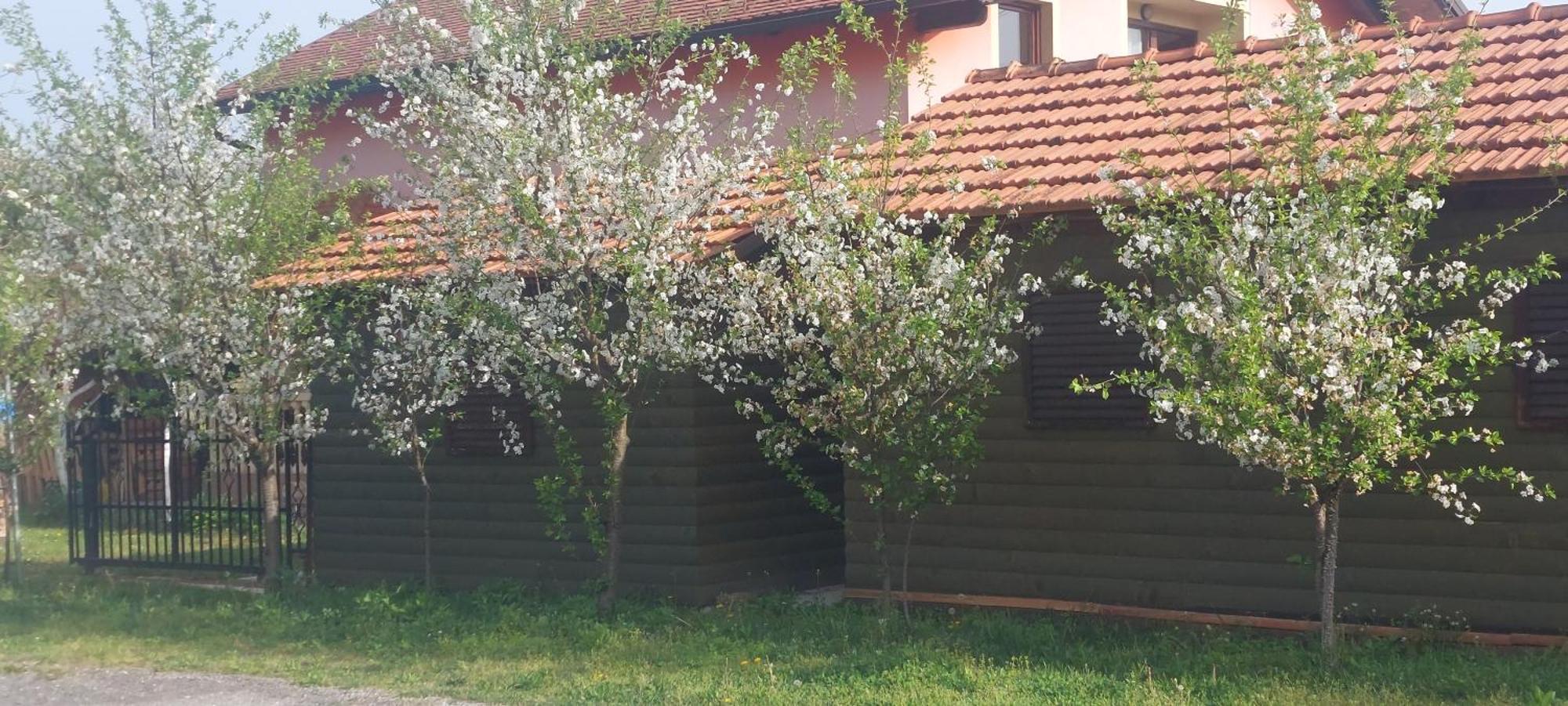 Kod Ane Apartment Belavici Luaran gambar