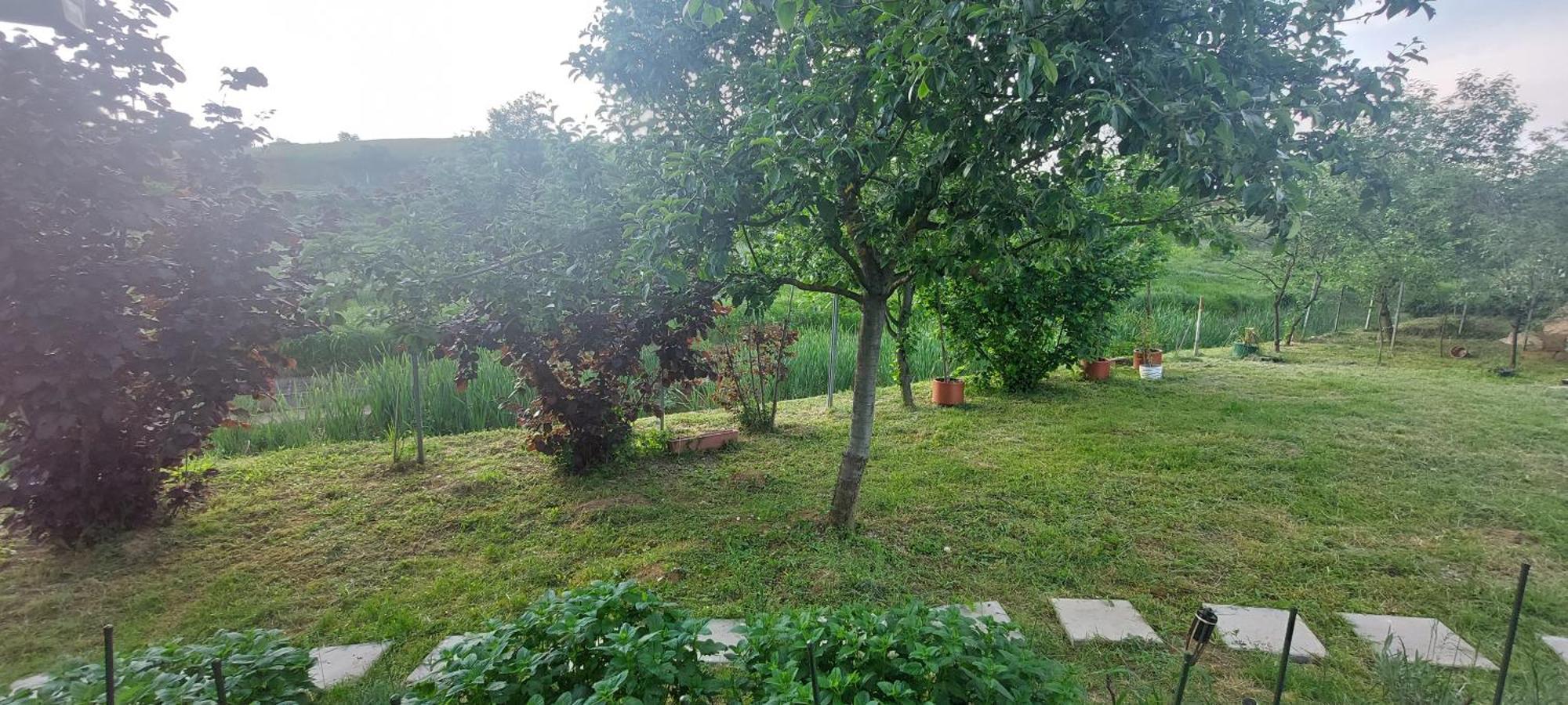 Kod Ane Apartment Belavici Luaran gambar