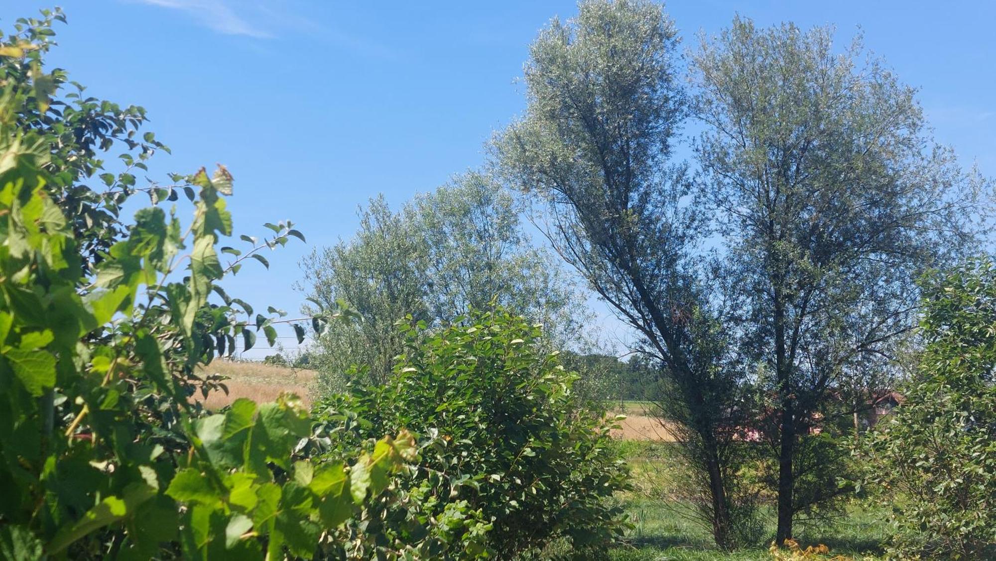 Kod Ane Apartment Belavici Luaran gambar