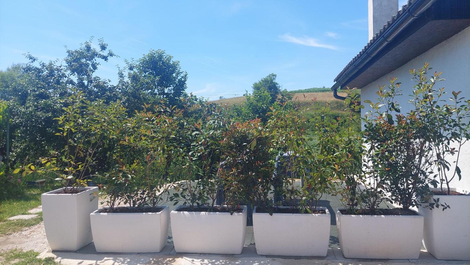 Kod Ane Apartment Belavici Luaran gambar