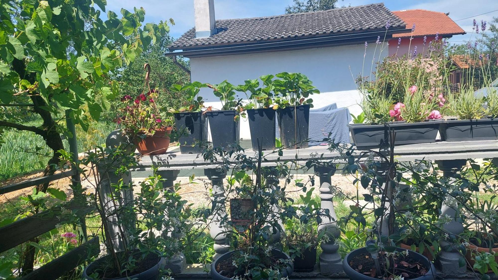 Kod Ane Apartment Belavici Luaran gambar
